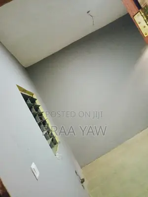 Pro Painter Self Contain Painting