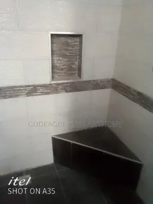 Professional Tiler