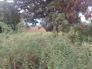 For Sale 2 Plots of Land Far Palace Mall East Airport