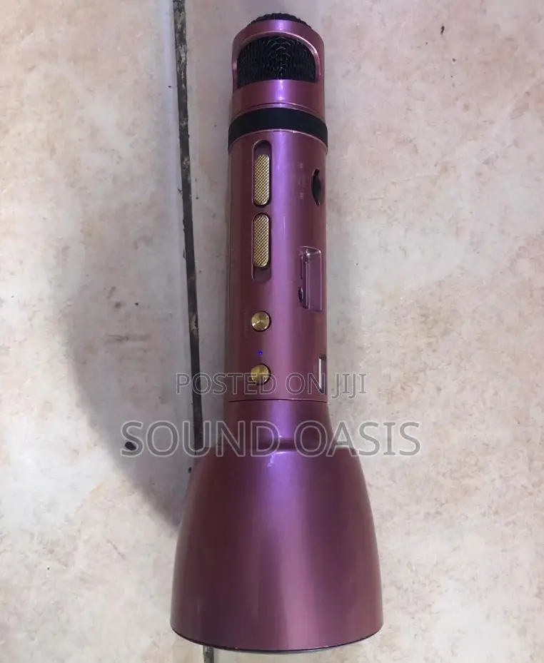 Rechargeable Handheld Microphone