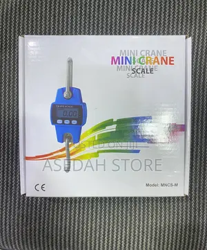 Mini Cranescale 300kg