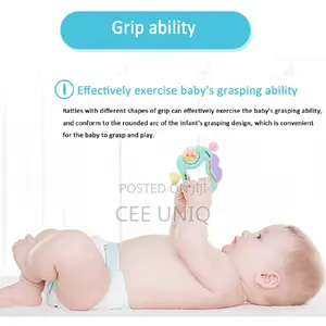 Baby Teething Rattles