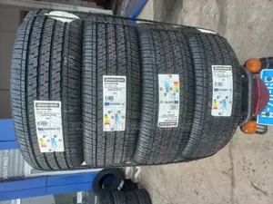 Original Bridgestone 225/55 R19