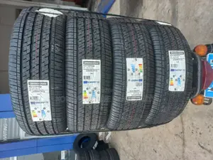Original Bridgestone 225/55 R19