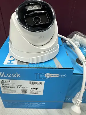 Hikvision/Hilook IP 2MP Camera Full Color Audio