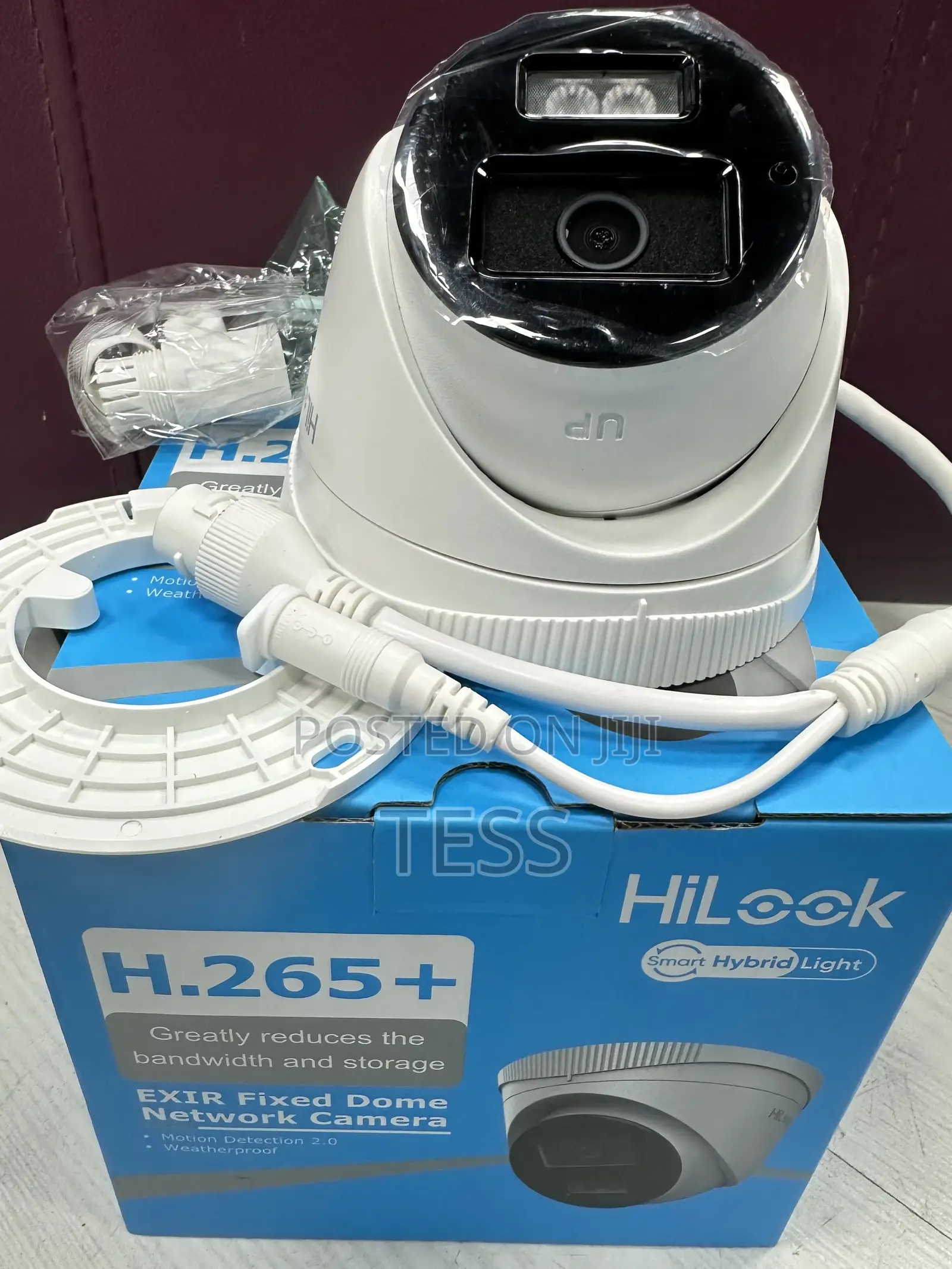 Hikvision/Hilook IP 2MP Camera Full Color Audio