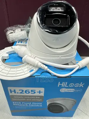 Hikvision/Hilook IP 2MP Camera Full Color Audio