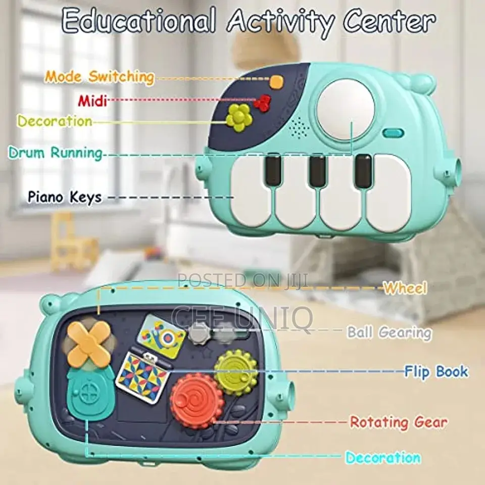 Play Gym and Activity Mat