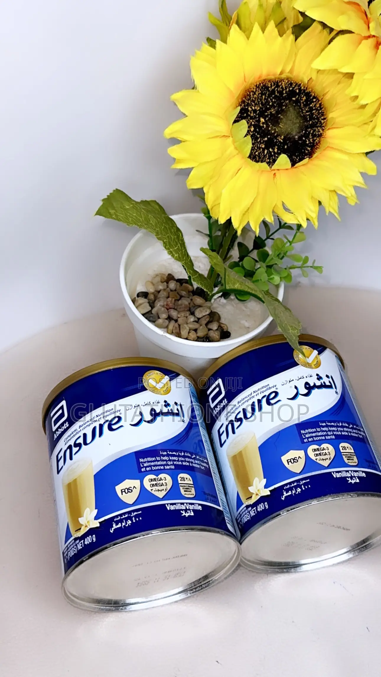 Ensure Nutritional Weight Gain Powder