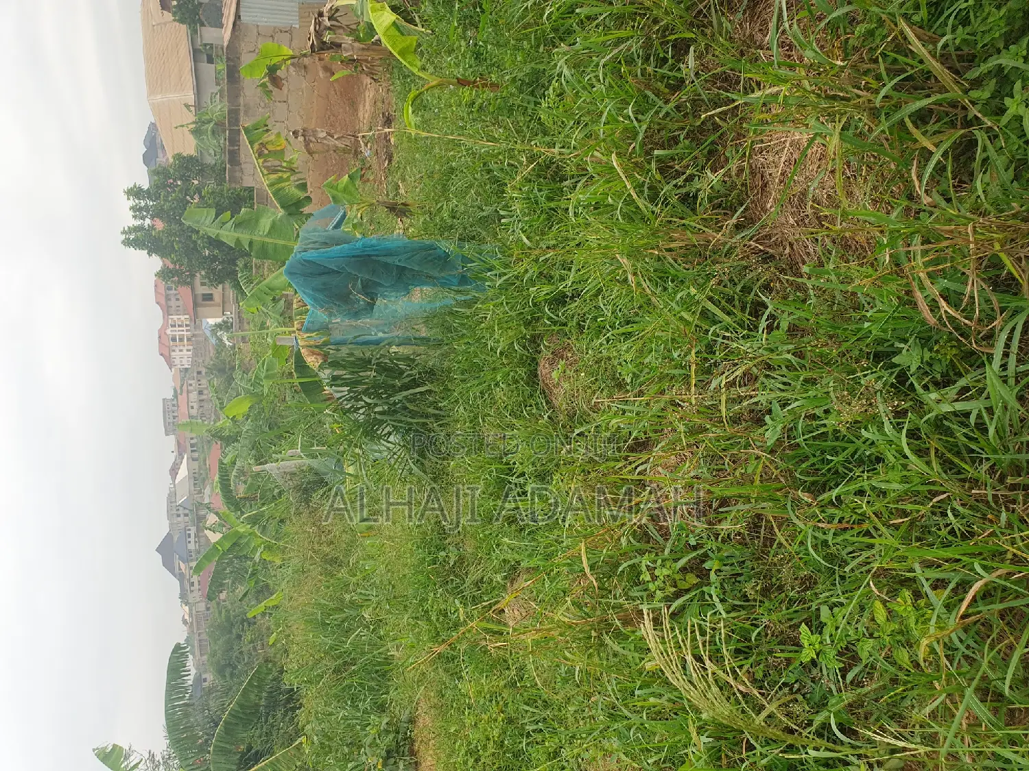 Land for Sale at Santasi Ahema Kokoben