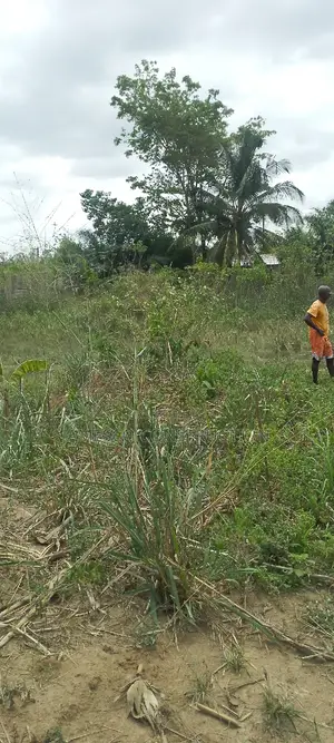 Registered Land for Sale