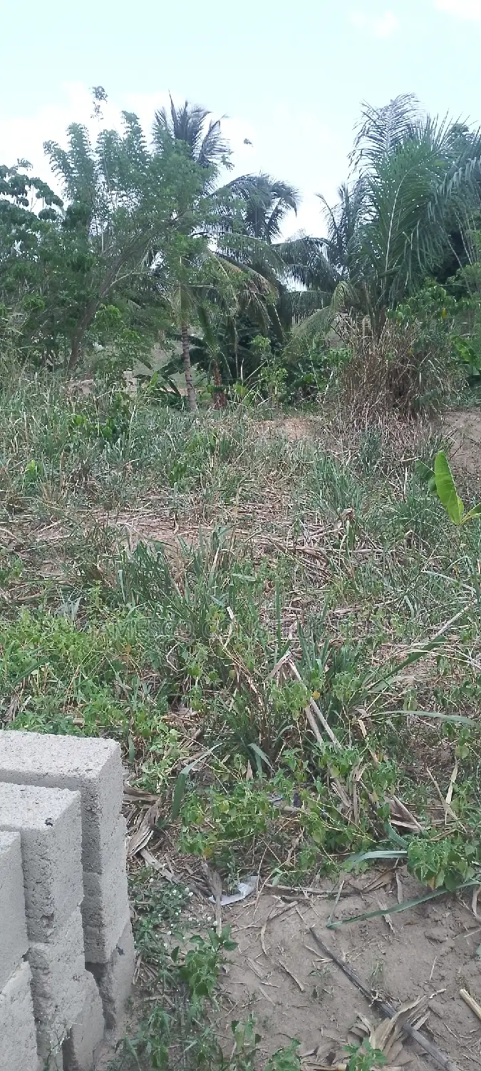 Registered Land for Sale