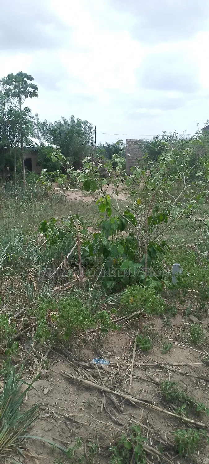 Registered Land for Sale