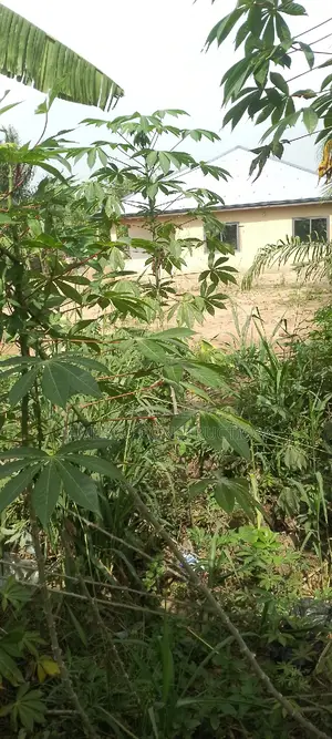 Residential Property for Sale
