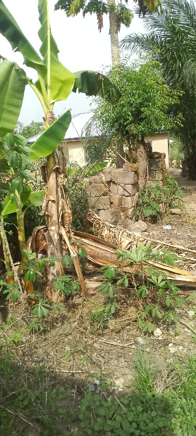 Residential Property for Sale