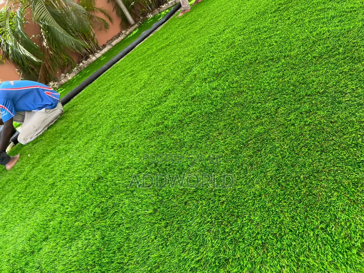 Beautiful Premium Green Grass 30mm Thickness 150gh Per SQM