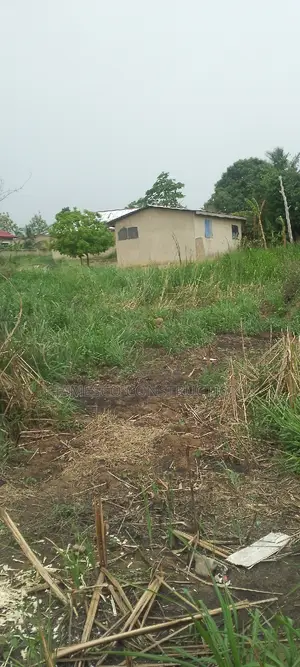 Registered Residential Property for Sale