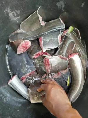 Highly Nutritious Cat Fish