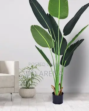 Artificial Banana Plant Size: 120cm High