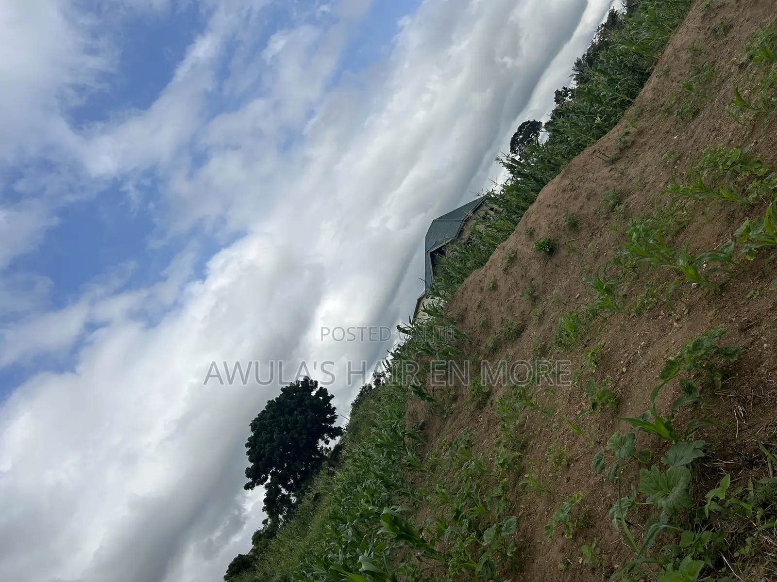 Plot of Land for Sale