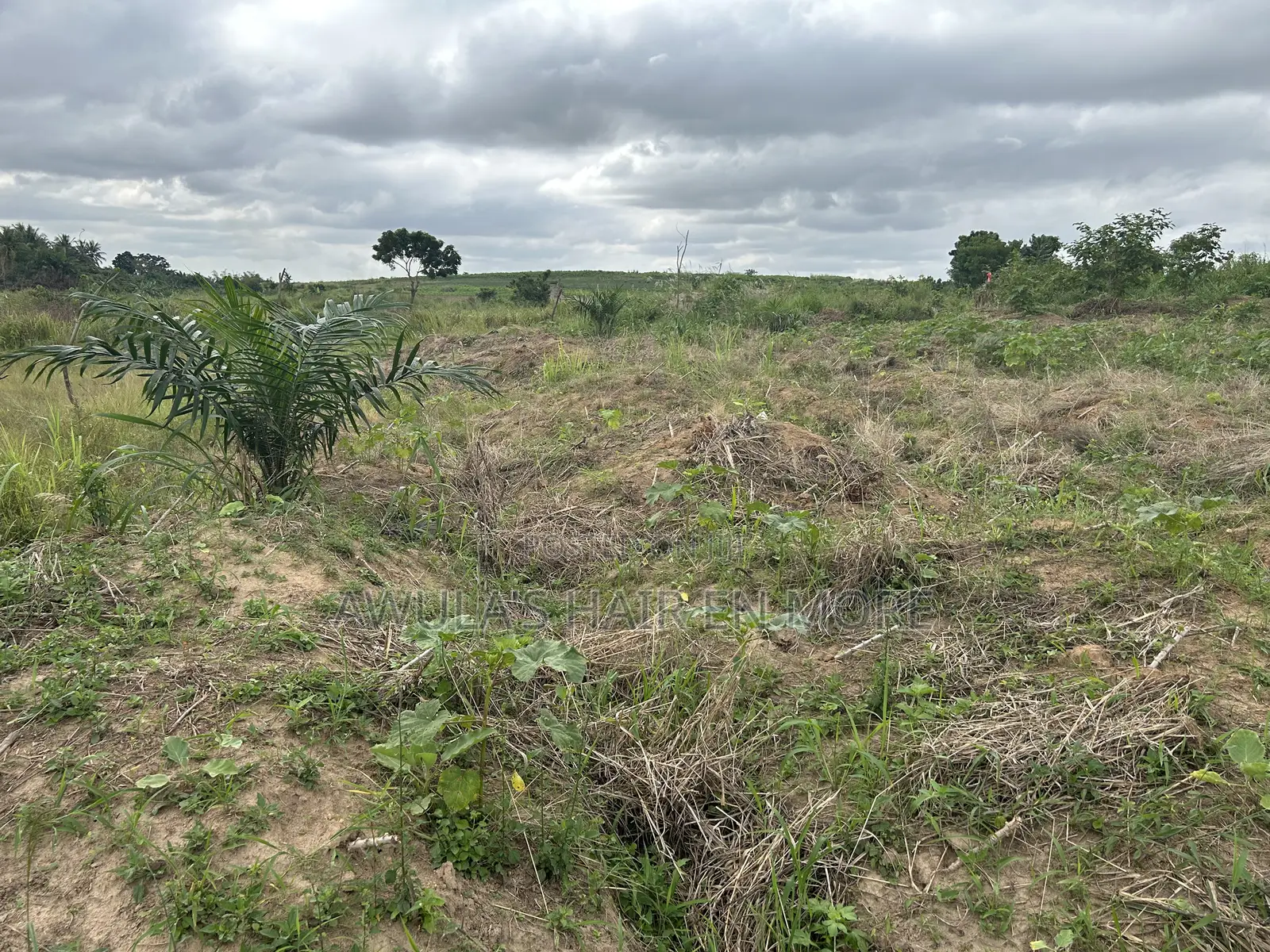 Plot of Land for Sale
