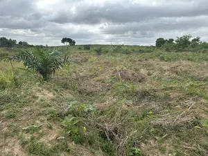 Plot of Land for Sale