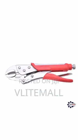 10'' Chinese Lock Pliers - Pride Tools (PY10F)