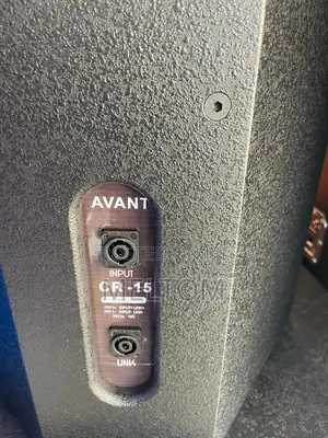 Avant 15inches Passive Speaker.