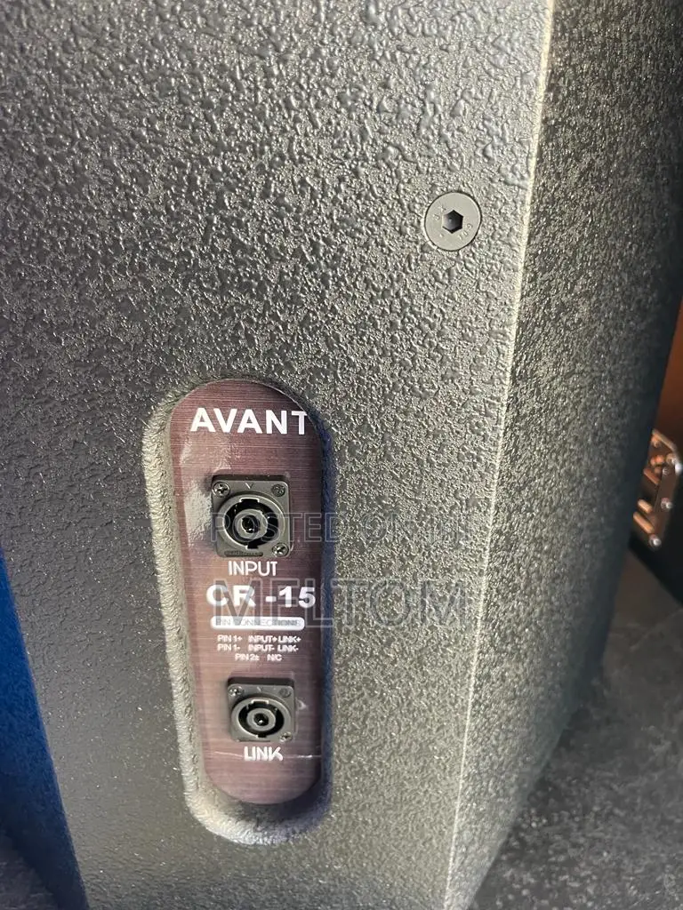 Avant 15inches Passive Speaker.