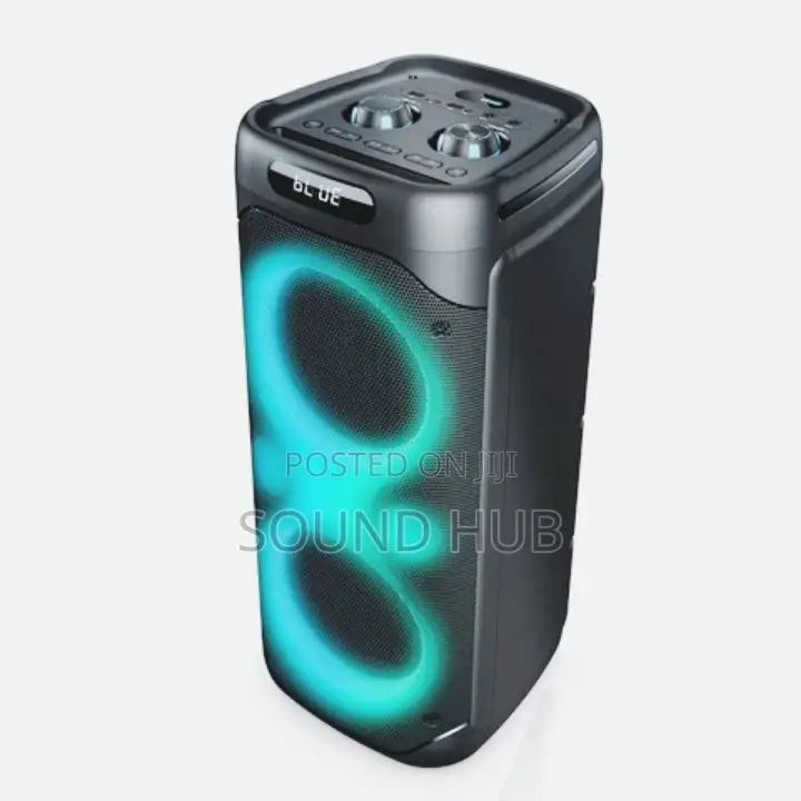 Professional Party Speaker With Two Microphones