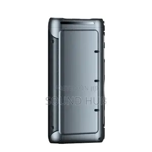 Professional Party Speaker With Two Microphones