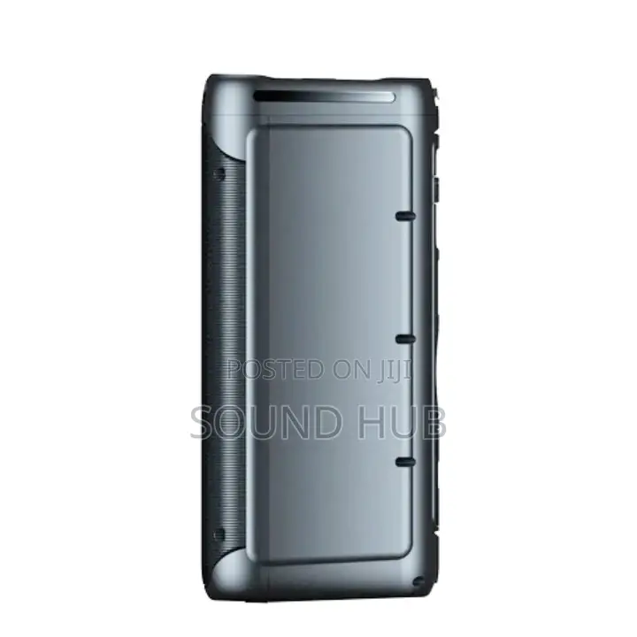 Professional Party Speaker With Two Microphones