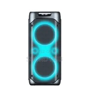 Professional Party Speaker With Two Microphones