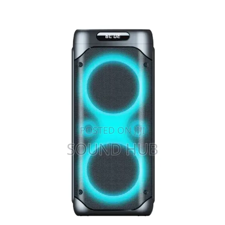 Professional Party Speaker With Two Microphones