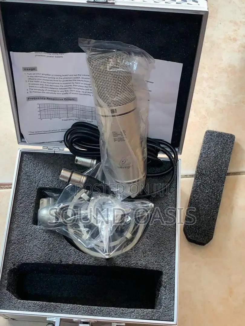 B-2 PRO Large Dual-Diaphragm Studio Condenser Microphone