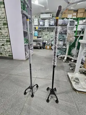 Walking Stick ( Quad Cane )