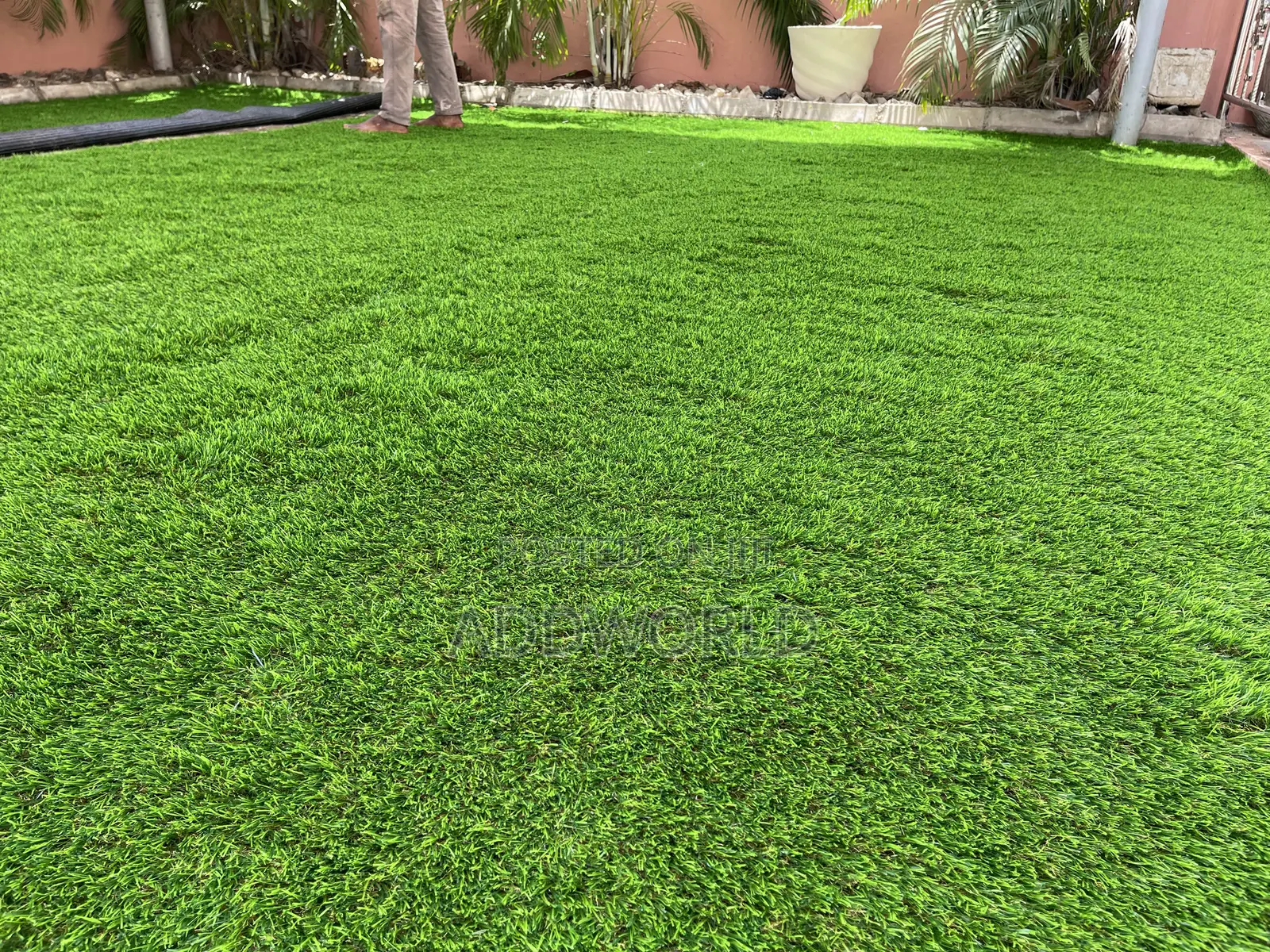 Original Premium Green Grass 50mm Thickness 250gh Per SQM