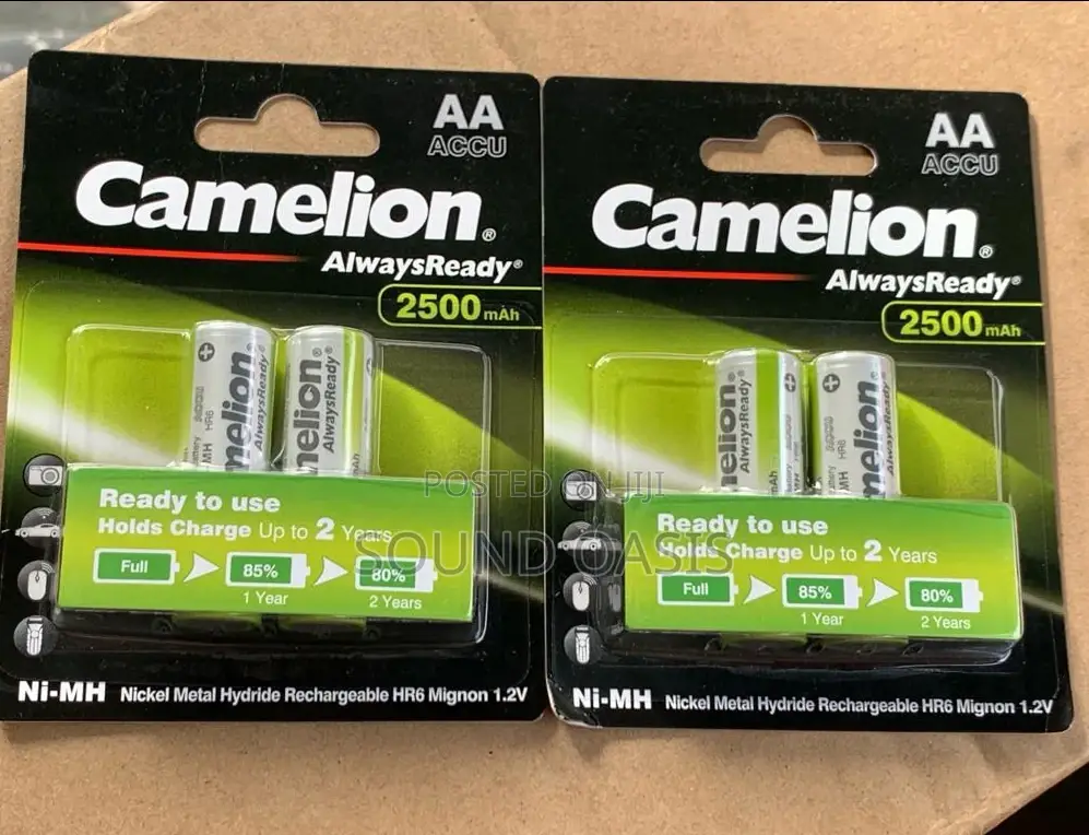 Camelion 2500mah AA Batteries