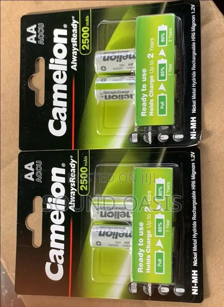 Camelion 2500mah AA Batteries