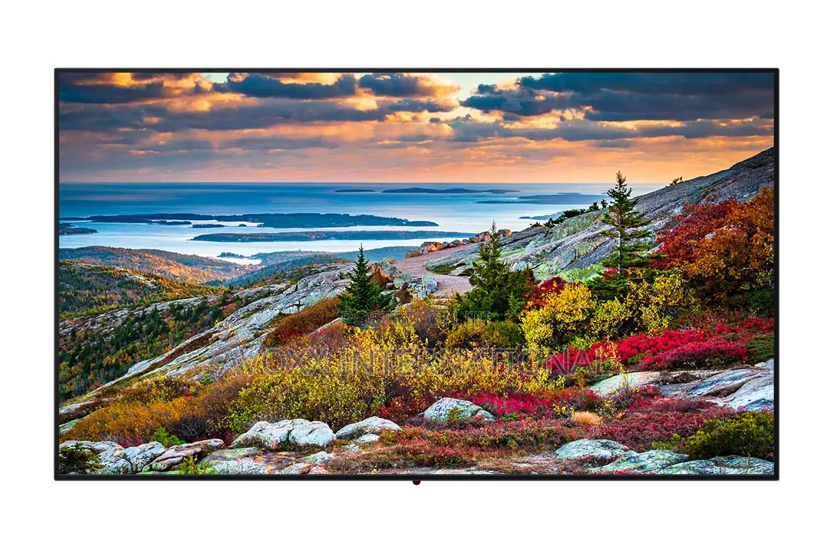 Panasonic Th-55cqe1w 55" Class Uhd Commercial Monitor