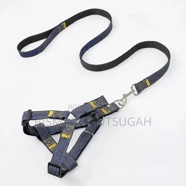 Cat and Dog Chain for Sale
