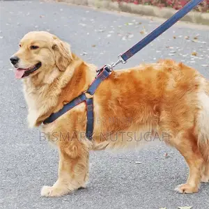 Cat and Dog Chain for Sale