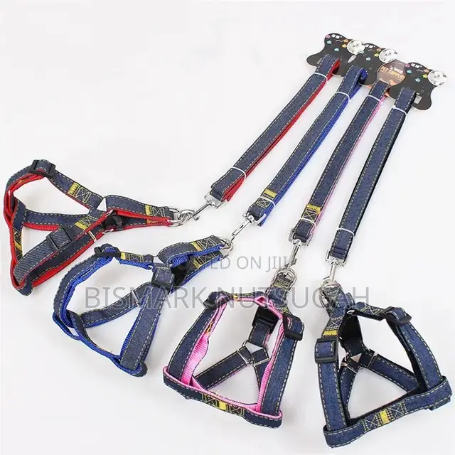 Cat and Dog Chain for Sale