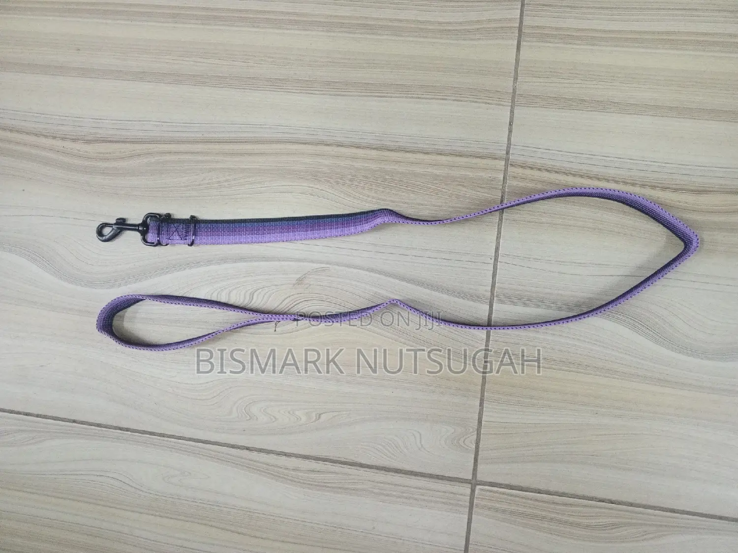 Cat and Dog Chain for Sale