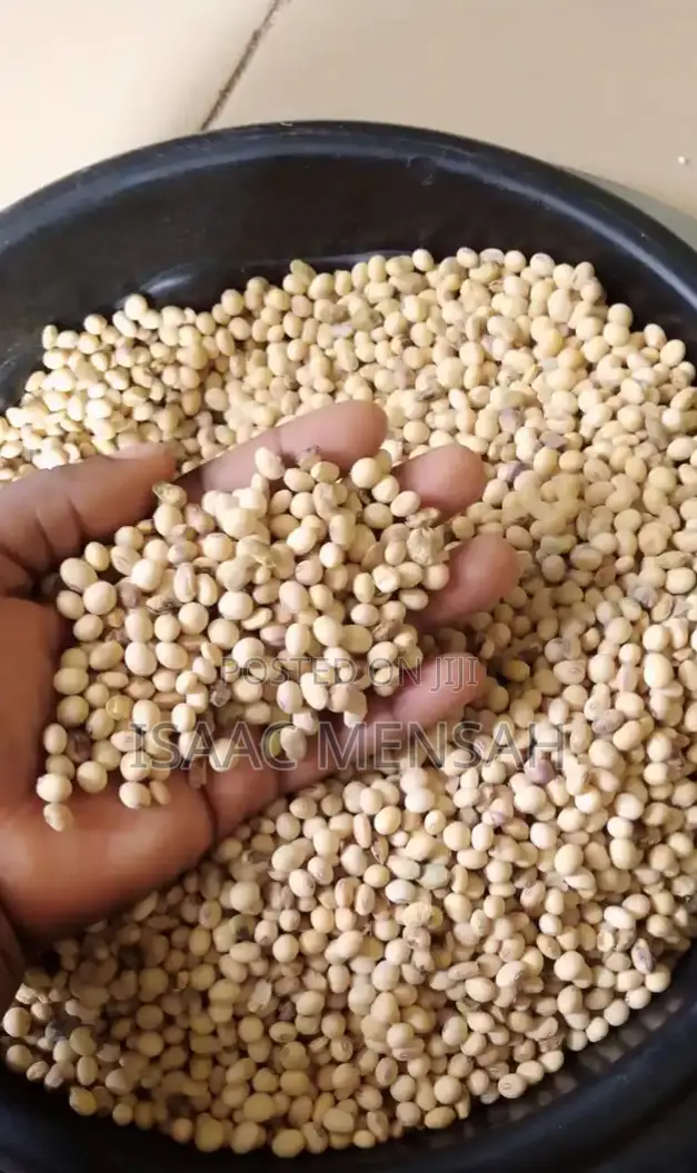 Soya Beans Available Per Bag