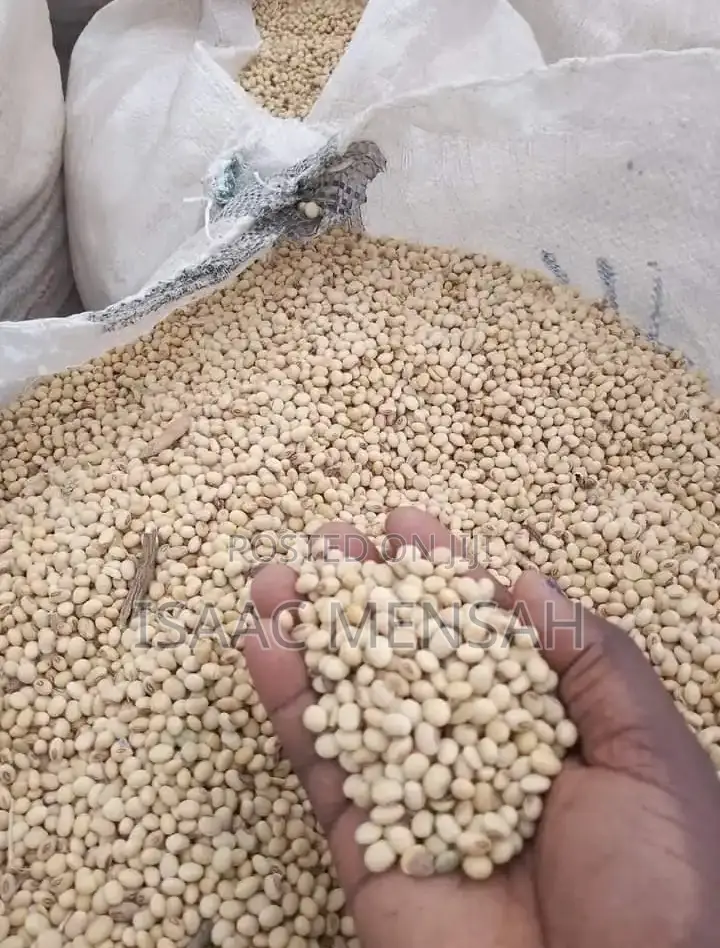 Soya Beans Available Per Bag