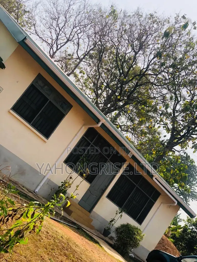 White PVC Downspout and Gutters