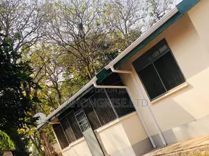 White PVC Downspout and Gutters
