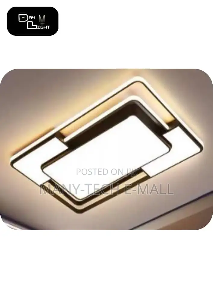 Luxurious Ceiling Light