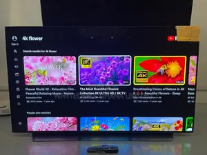 LG 55" Uhd Alexa Built-in Blade-Thin Smart Oled Tv- 55bx
